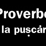 proverbe